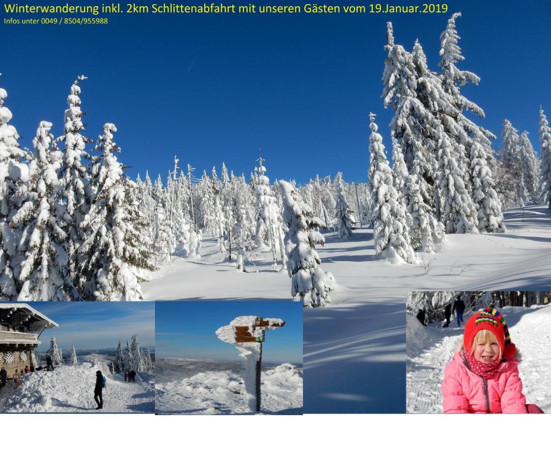 Ferienwohnung Fernblick Neukirchen vorm Wald Extérieur photo